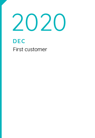 MASSIVE SOFTWARE LLC December 2020 milestones