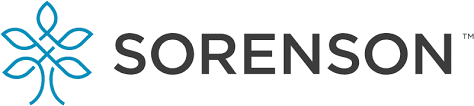 MASSIVE SOFTWARE LLC Investor Sorenson